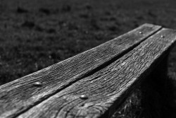 A bench