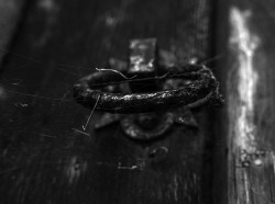 A door knocker
