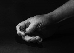 Flipping a coin