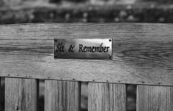 A bench