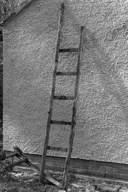 A ladder