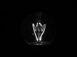 A lightbulb