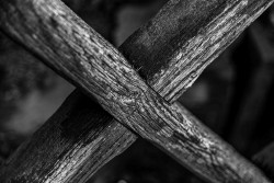 A Cross