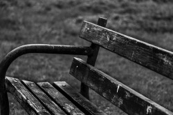 Park Bench